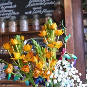 Fuschia - Épicerie de fleurs et thé vintage